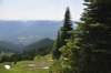 dsc_7998_fs_small.jpg