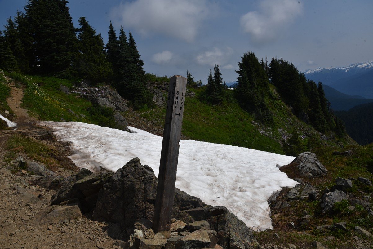 dsc_7999_fs.jpg