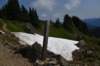 dsc_7999_fs_small.jpg