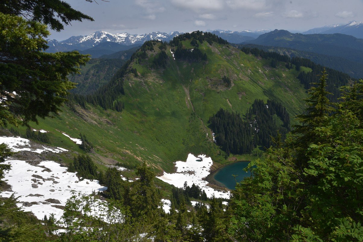 dsc_8001_fs.jpg