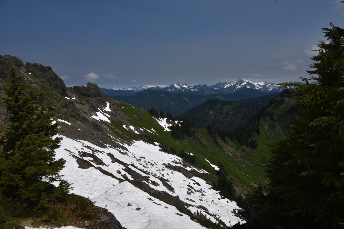 dsc_8004_fs.jpg