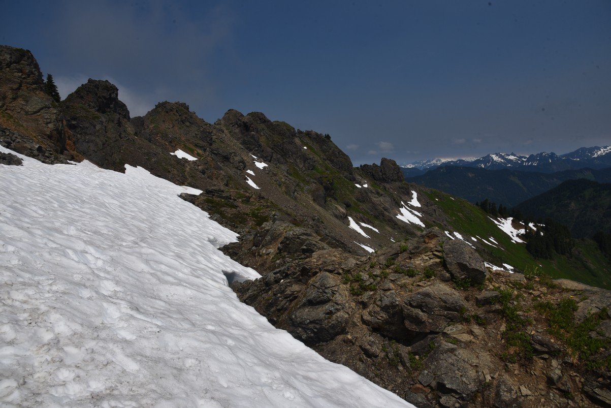 dsc_8008_fs.jpg