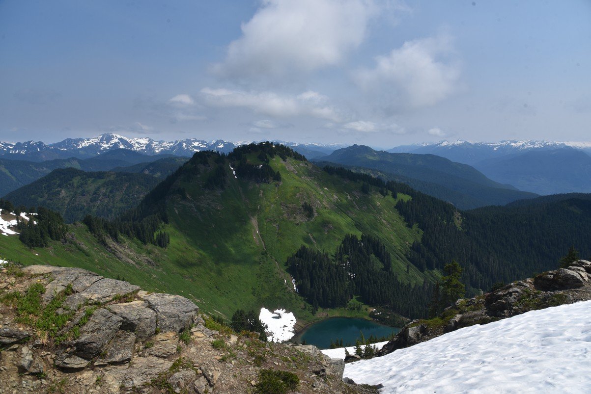 dsc_8010_fs.jpg