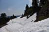 dsc_8013_fs_small.jpg