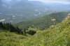 dsc_8016_fs_small.jpg