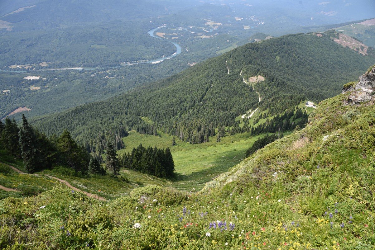 dsc_8018_fs.jpg