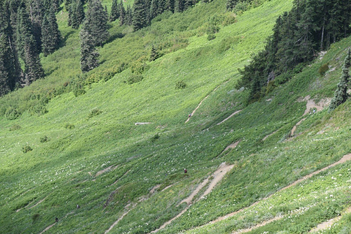dsc_8020_fs.jpg