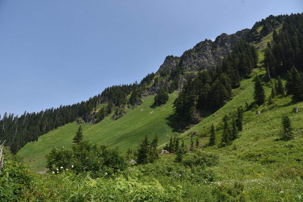 dsc_8027_fs.jpg
