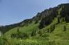 dsc_8027_fs_small.jpg