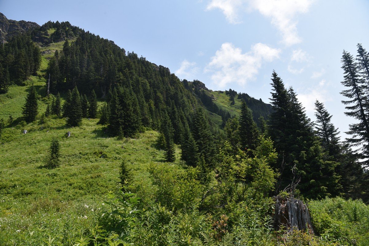 dsc_8029_fs.jpg