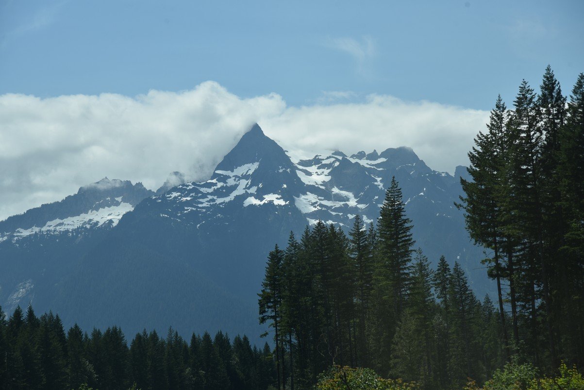 dsc_8065_fs.jpg