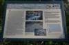 dsc_5994_fs_small.jpg