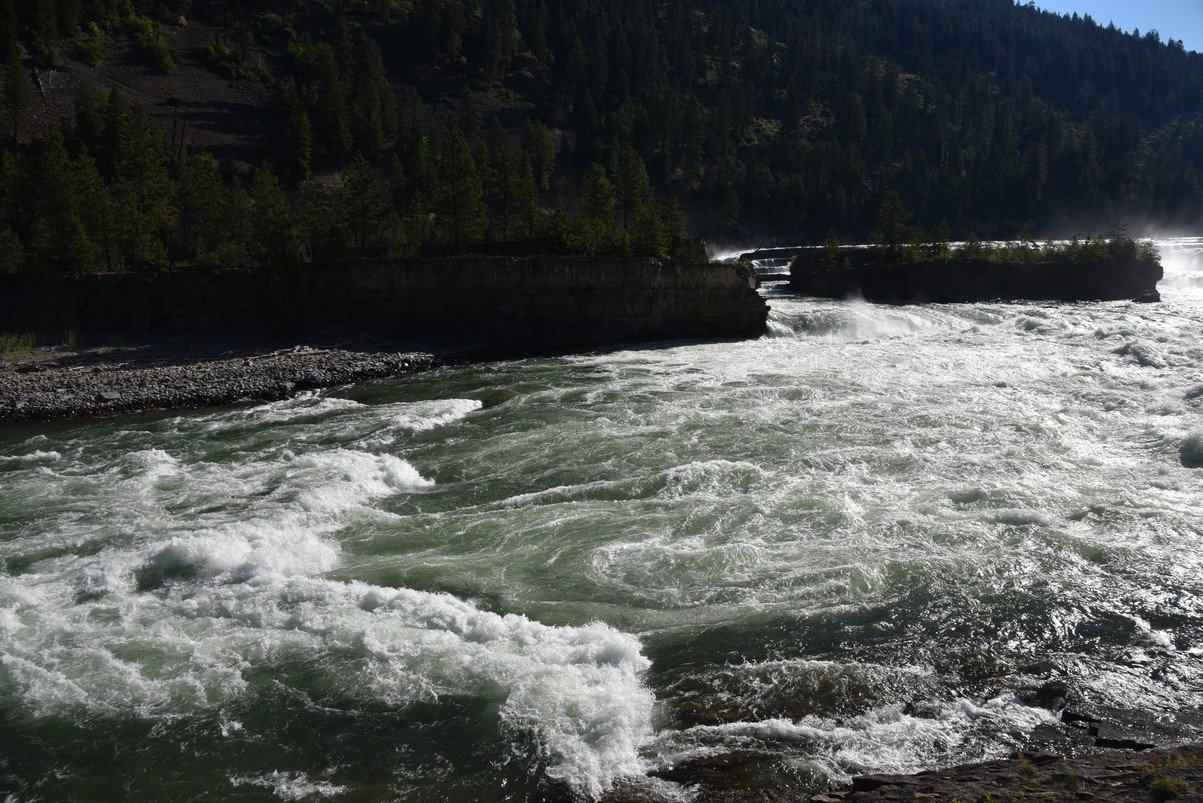 dsc_6012_fs.jpg