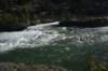 dsc_6024_fs_small.jpg