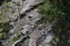 dsc_6061_fs_small.jpg