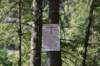 dsc_6077_fs_small.jpg