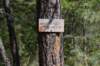 dsc_6082_fs_small.jpg