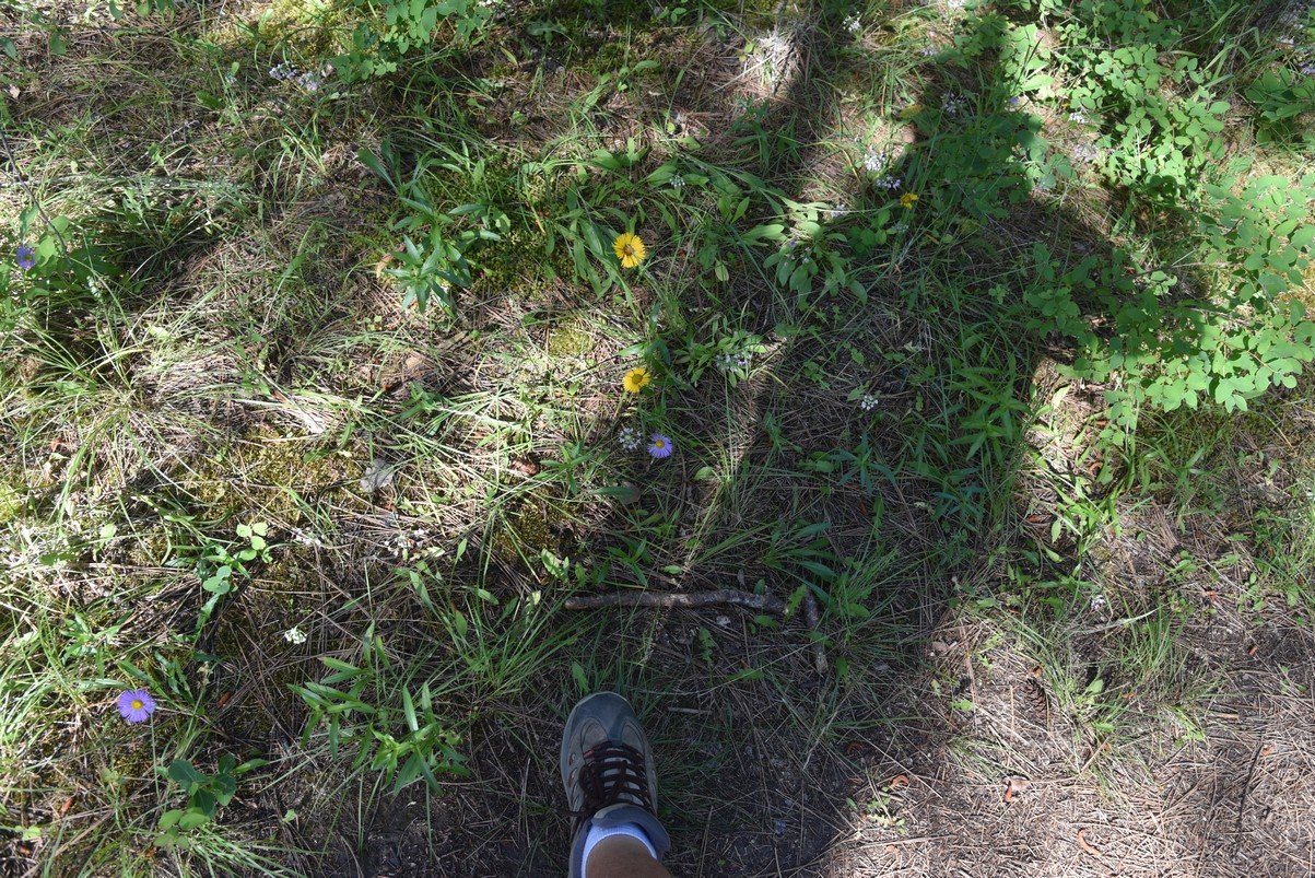dsc_6083_fs.jpg