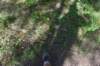 dsc_6083_fs_small.jpg