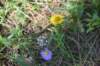 dsc_6084_fs_small.jpg