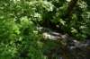 dsc_6085_fs_small.jpg