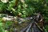dsc_6086_fs_small.jpg