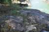 dsc_6093_fs_small.jpg