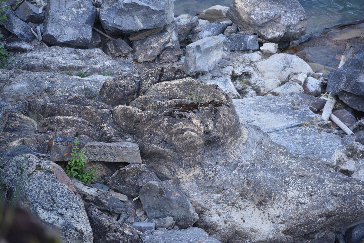 dsc_6098_fs.jpg
