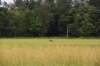 dsc_8165_fs_small.jpg