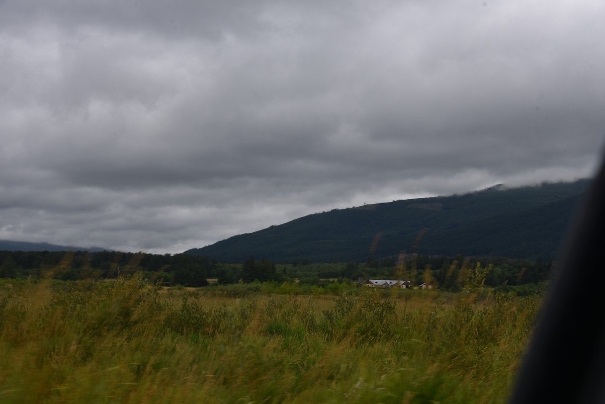 dsc_8172_fs.jpg