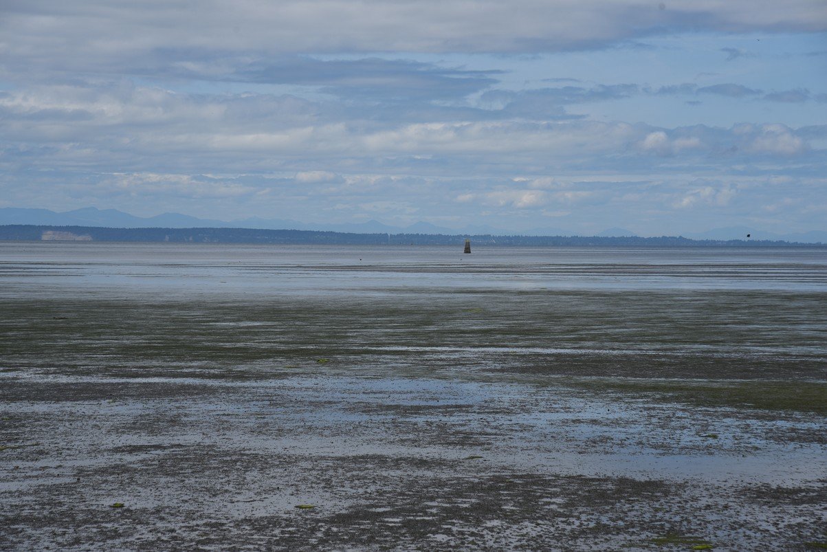 dsc_8269_fs.jpg
