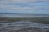dsc_8269_fs_small.jpg
