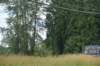 dsc_8286_fs_small.jpg