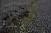 dsc_8299_fs_small.jpg