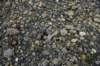 dsc_8300_fs_small.jpg