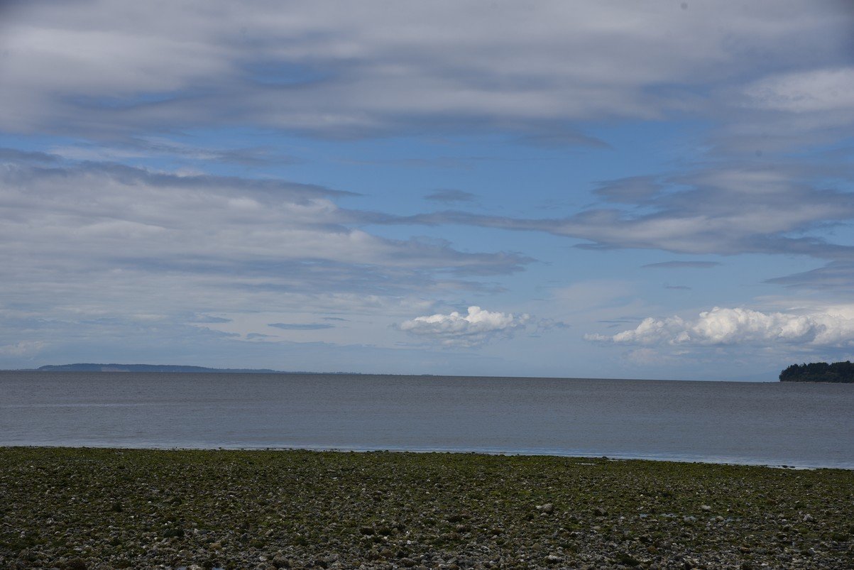 dsc_8308_fs.jpg