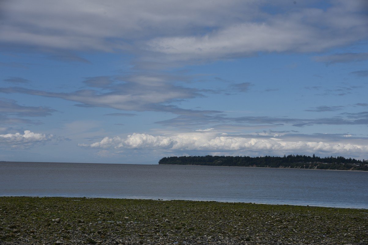 dsc_8309_fs.jpg