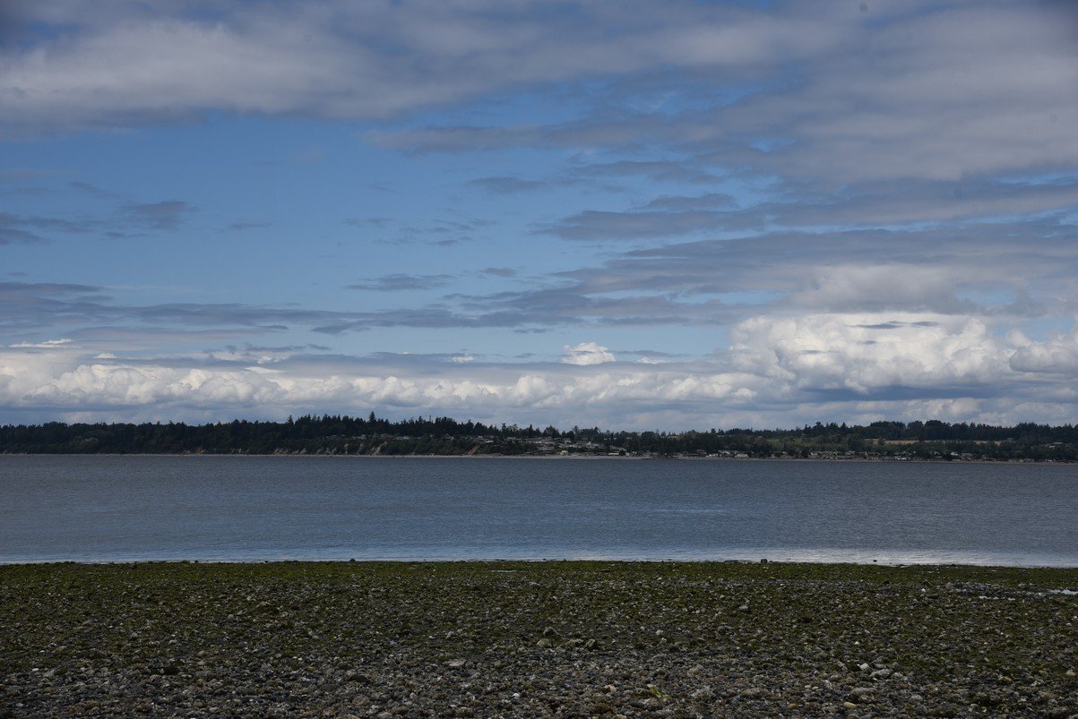 dsc_8310_fs.jpg