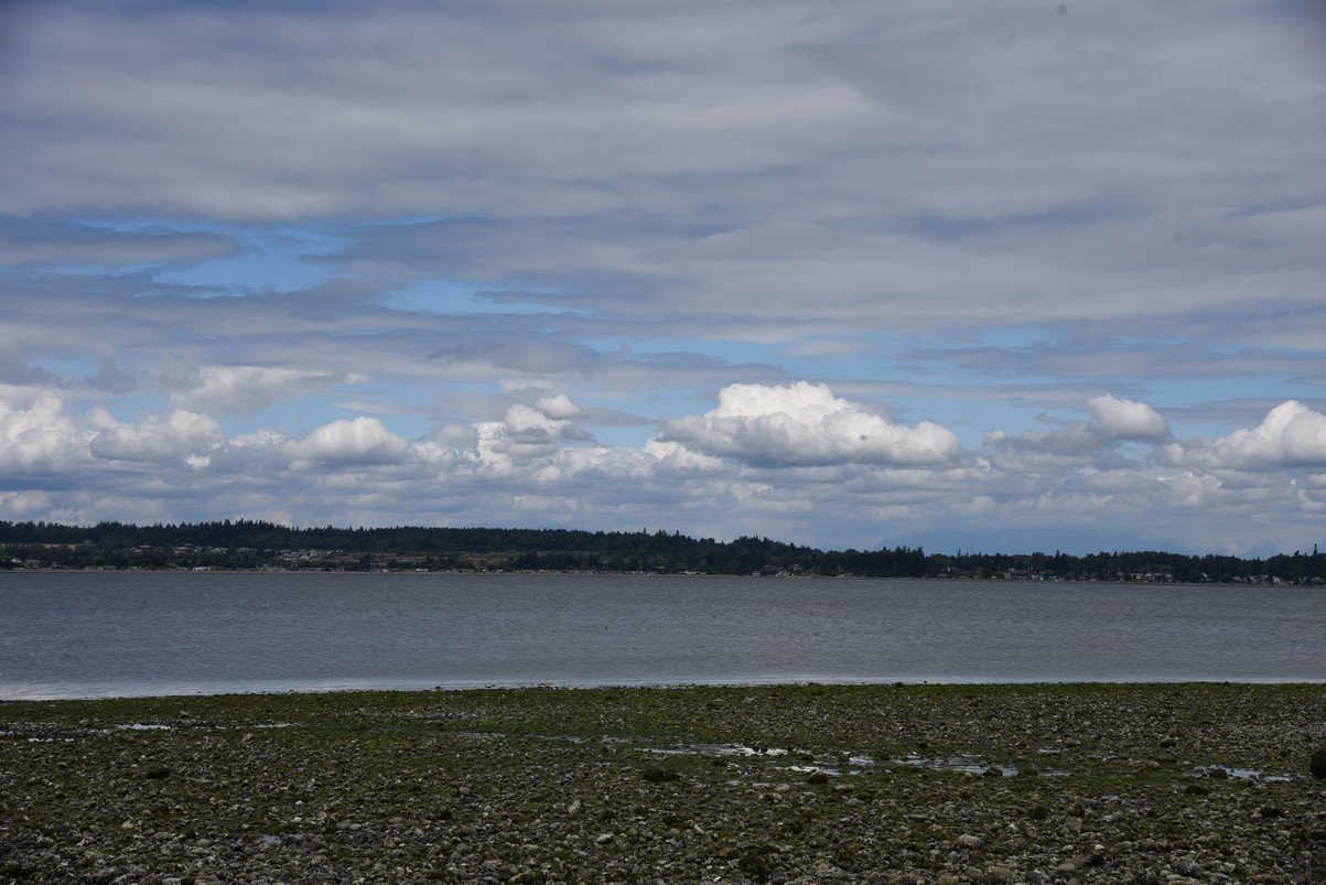 dsc_8312_fs.jpg