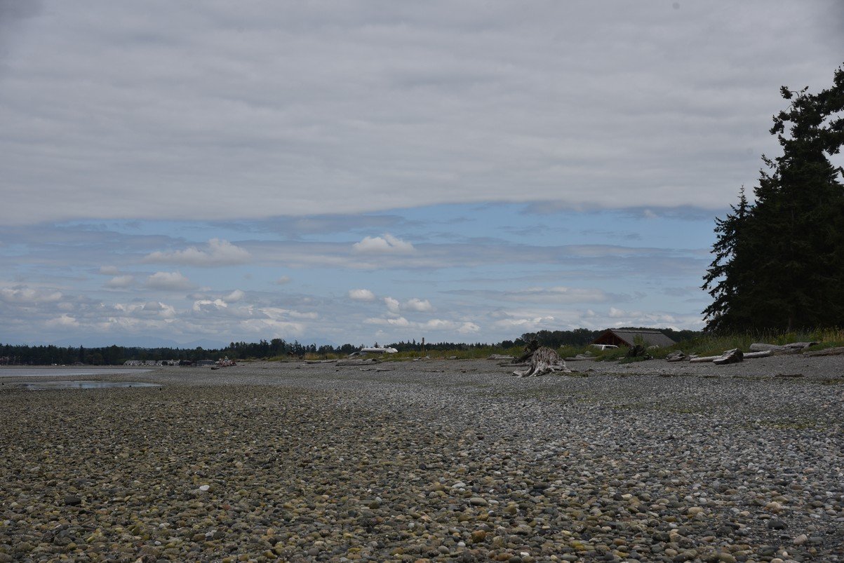 dsc_8317_fs.jpg