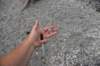 dsc_8324_fs_small.jpg