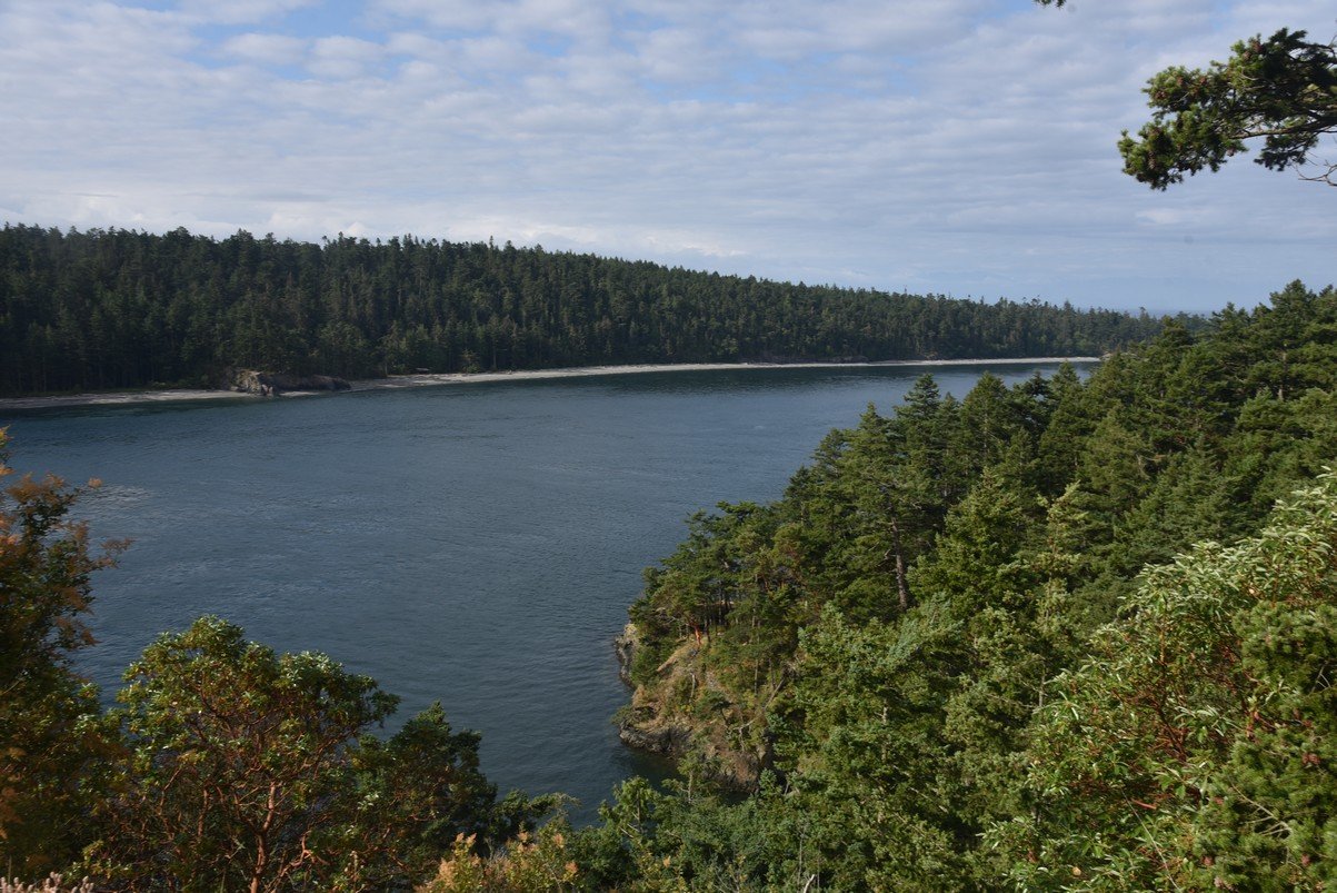 dsc_8513_fs.jpg