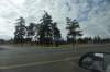 dsc_8541_fs_small.jpg