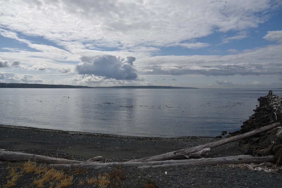 dsc_8557_fs.jpg
