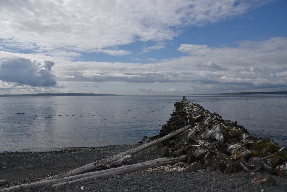 dsc_8558_fs.jpg