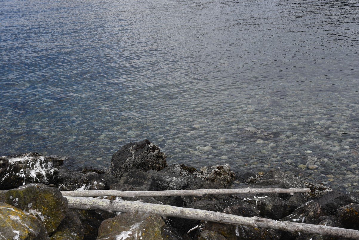 dsc_8578_fs.jpg