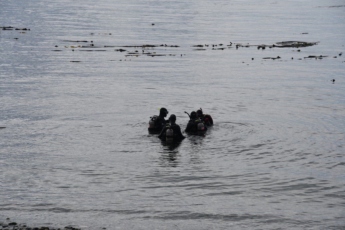 dsc_8582_fs.jpg