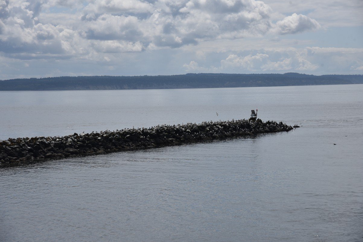 dsc_8607_fs.jpg