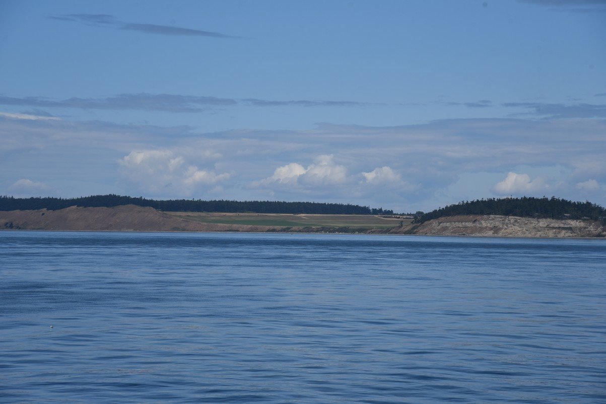 dsc_8635_fs.jpg