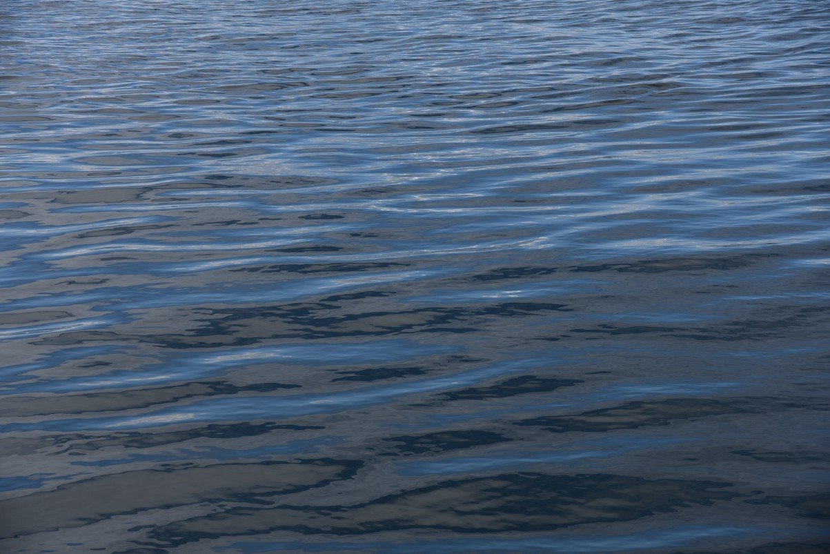 dsc_8636_fs.jpg